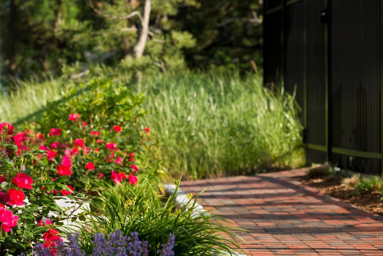 Wellfleet Lodge — photo 17