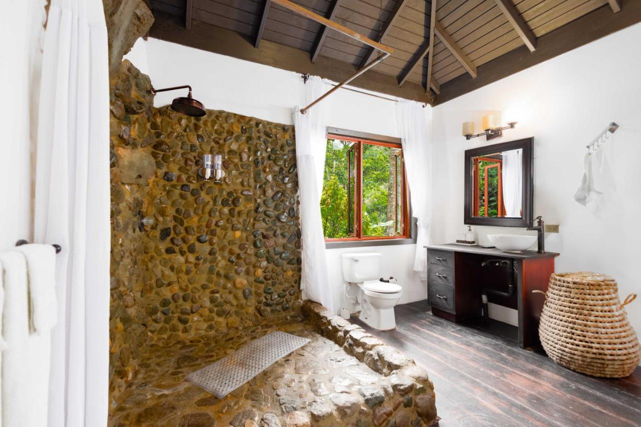 Serendipity Holistic Resort Spa - 3