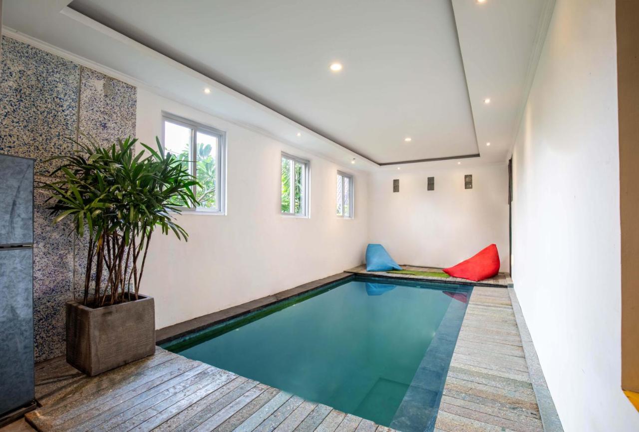 Eco Boo Boo - Green Genesis - 5