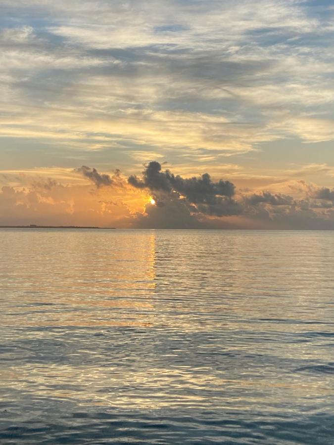 Apartment Castle - 3