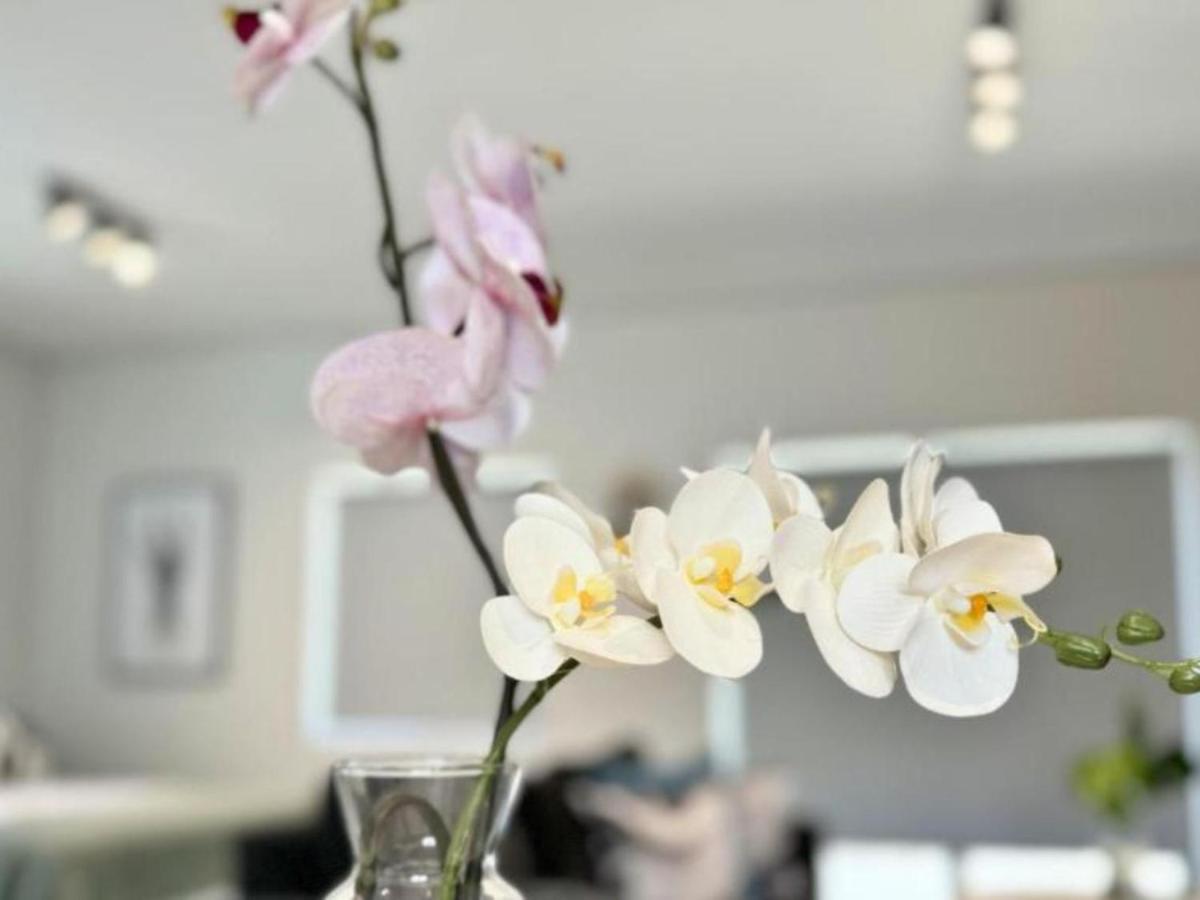 Obs Centre Twin Peaks - 4