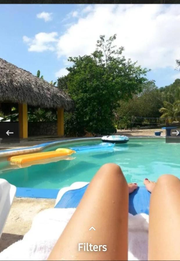 Hayley's Paradise Limited - 3