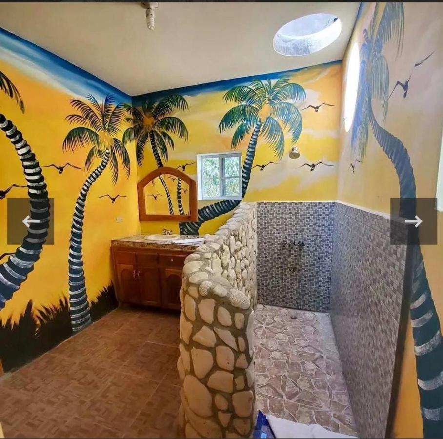 Hayley's Paradise Limited - 5