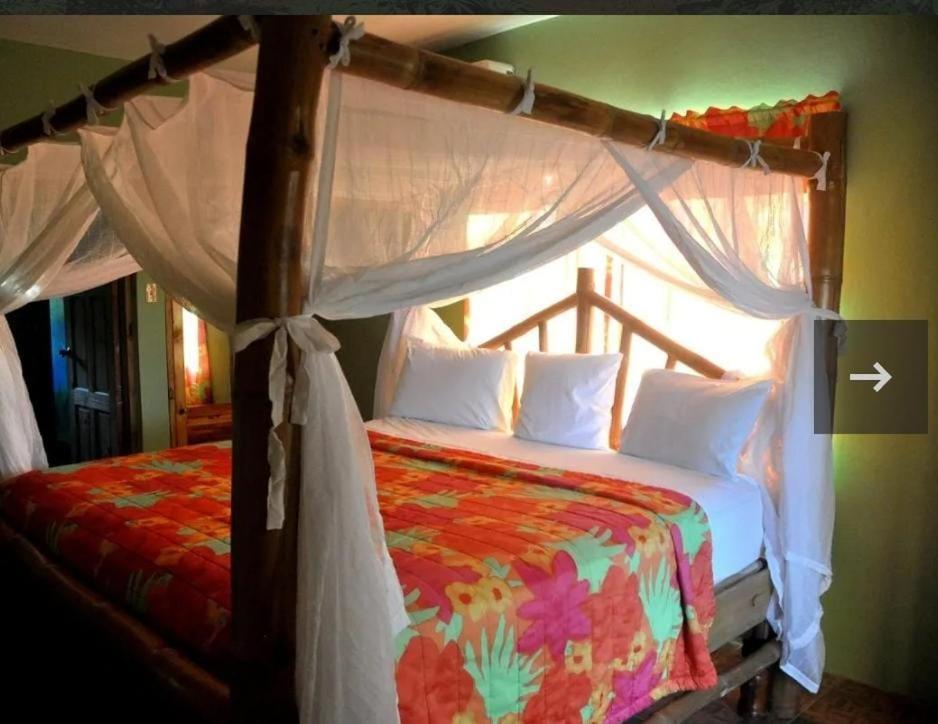 Hayley's Paradise Limited - 2