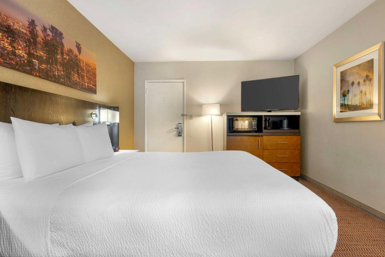 King Palace Inn — photo 17