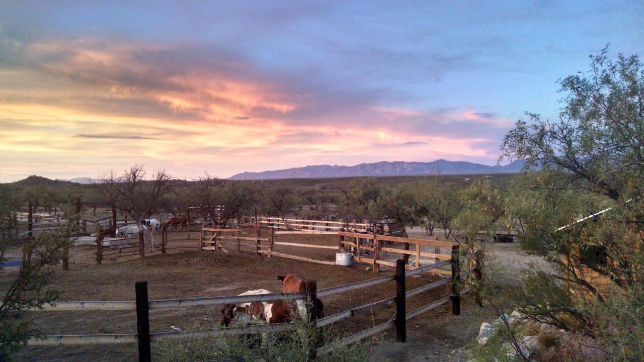Tombstone Monument Guest Ranch — photo 21
