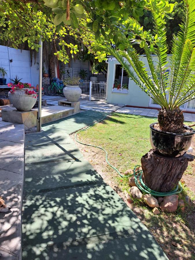 The Willow Cottage - 3