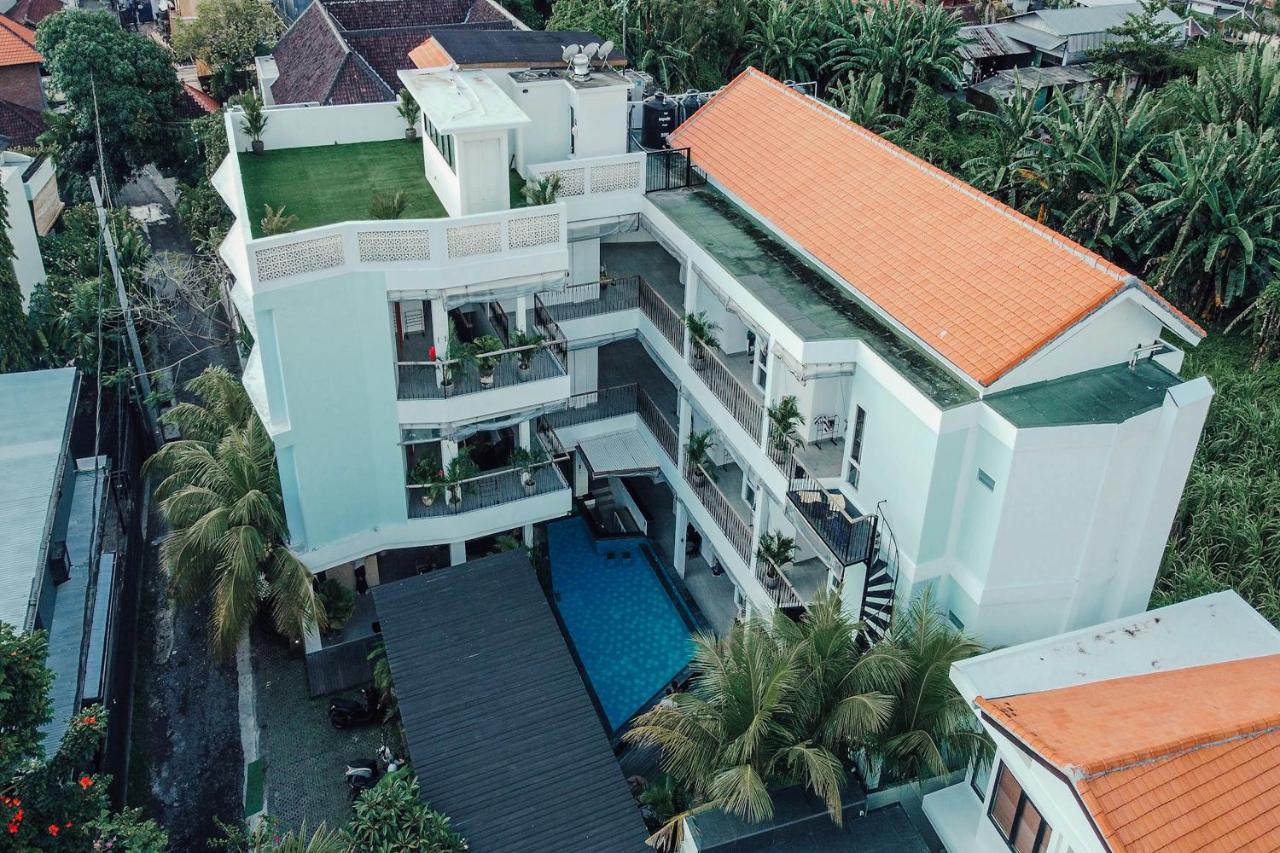 Coco & Pineapple Pants Hostel - 2