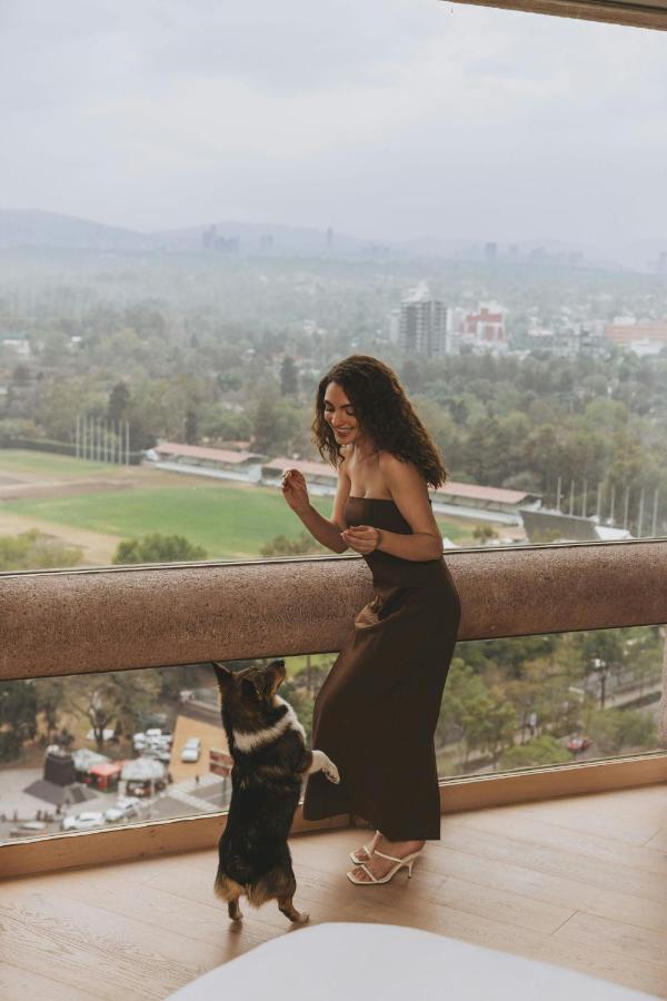 JW Marriott Hotel Mexico City Polanco - 3