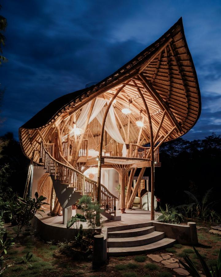 Wiwaka Harmony in Nature