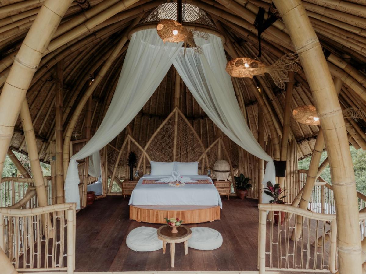 Wiwaka Harmony in Nature - 2