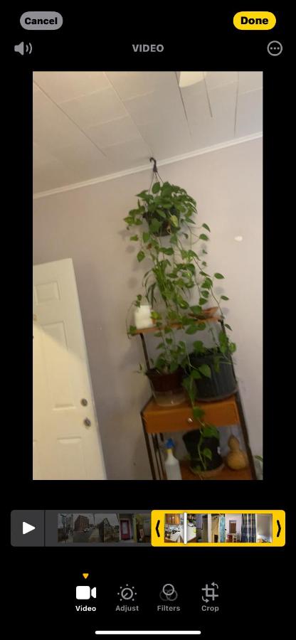 Convenient location near Manhattan easy trip to Times Square - 5