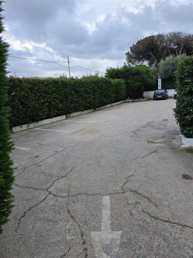 Hotel Le Pinede Relax - 2