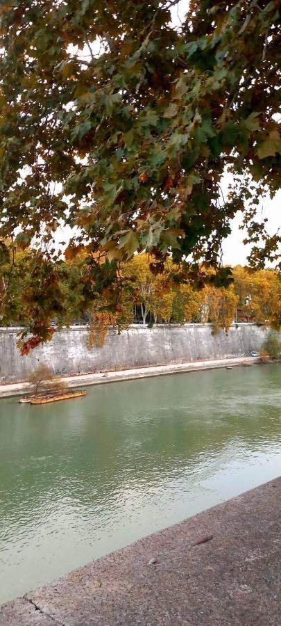 RiversideMellini44 - 3