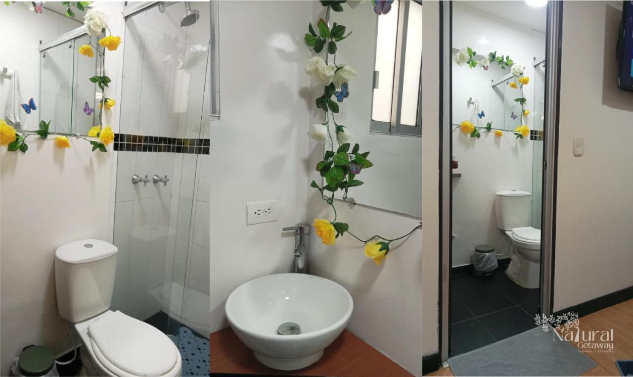 Elfa NATURAL GETAWAY MOVISTAR ARENA - 3