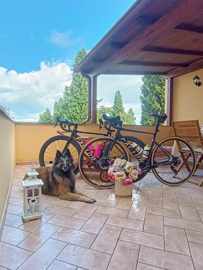 Lajatico Rentals - Terrazza sul Tramonto del Silenzio - 5