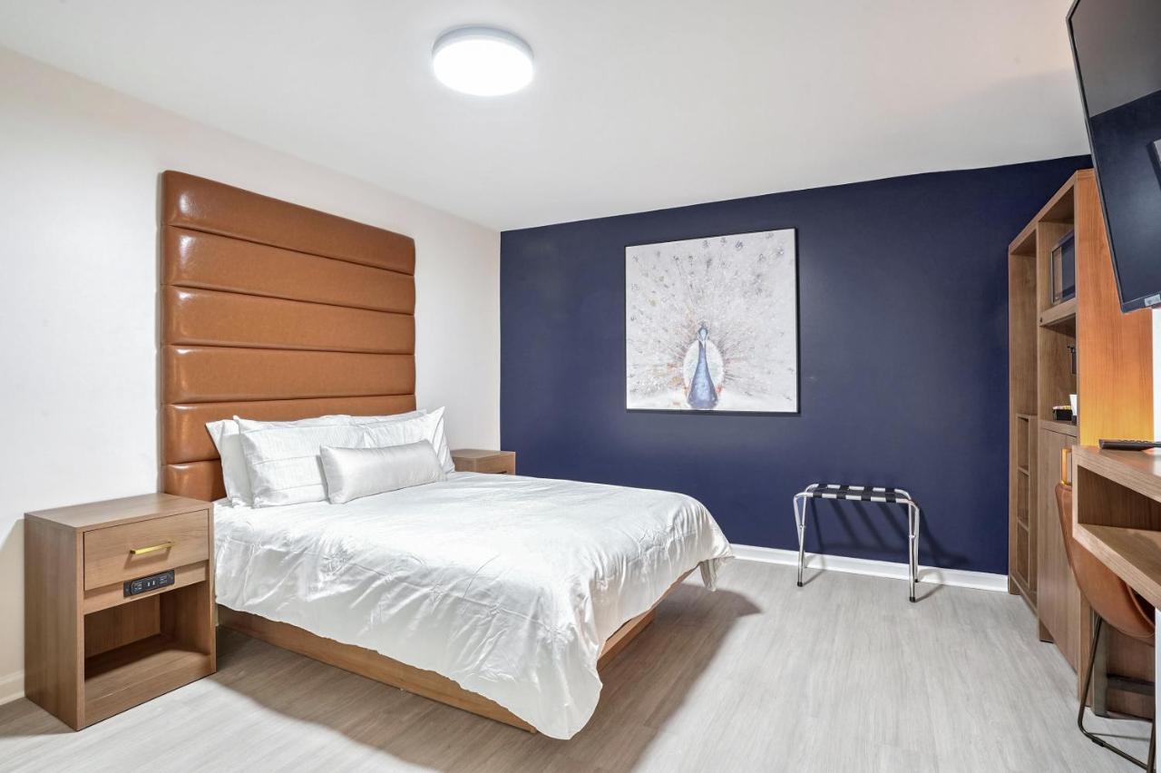 Redamo Suites — photo 9