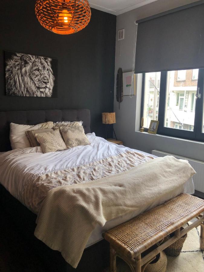 Cozy apartment with large roof terrace - 2
