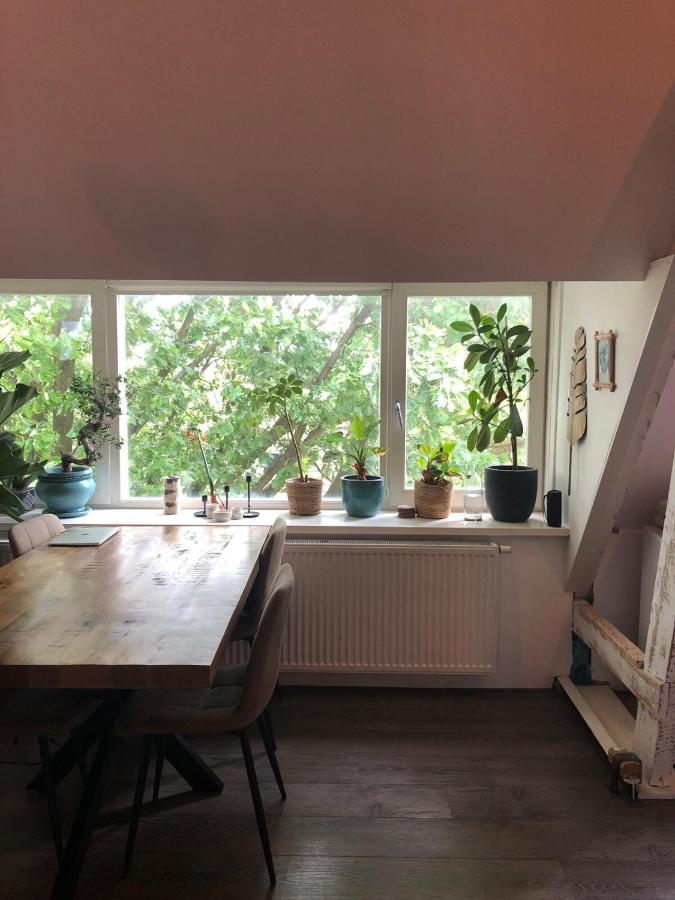 Cozy apartment with large roof terrace - 4