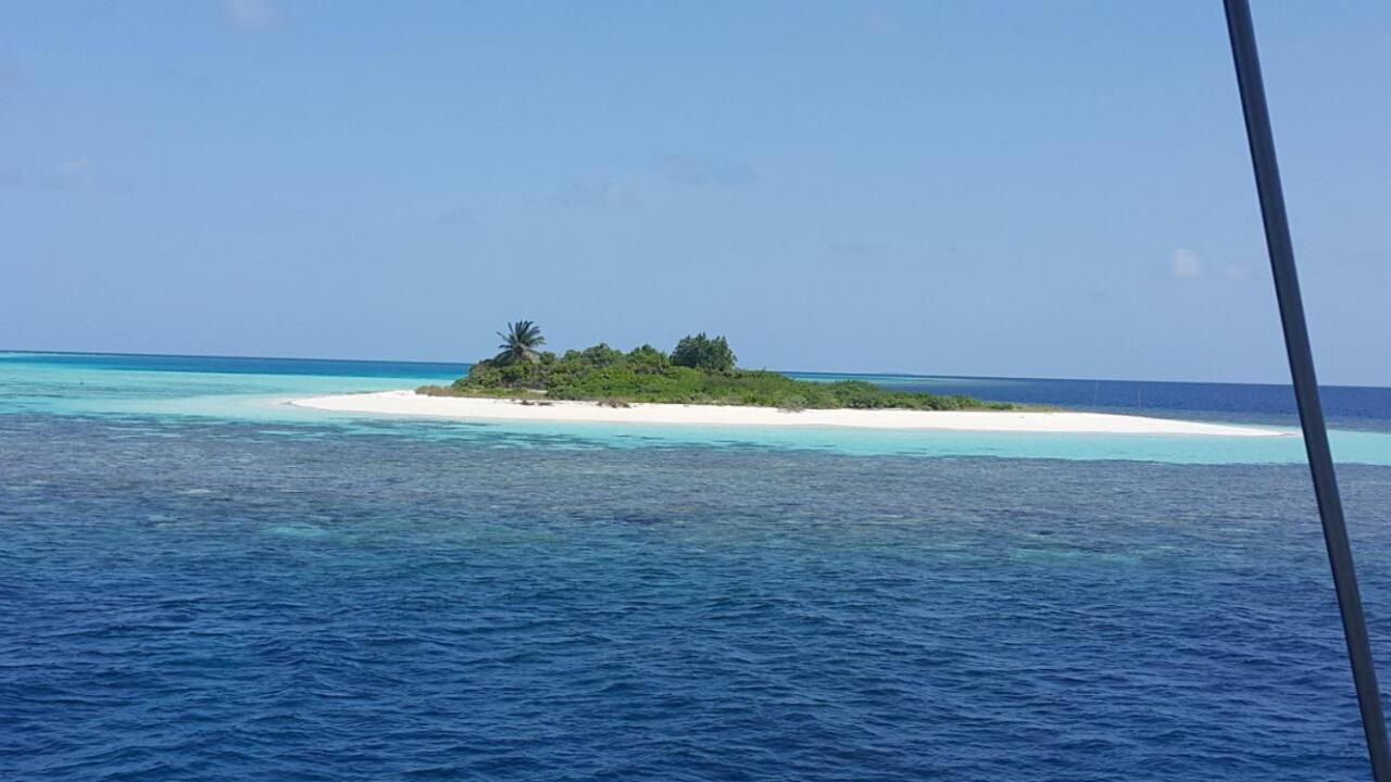 SailFish Catamaran - 2