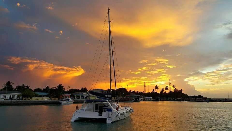 SailFish Catamaran - 3