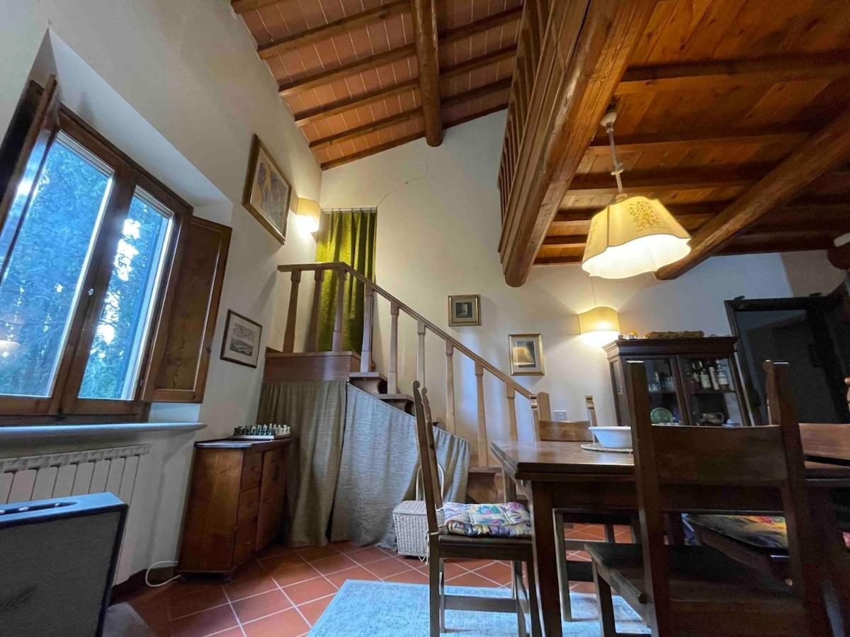 Apartment with pool and park near Florence - 5