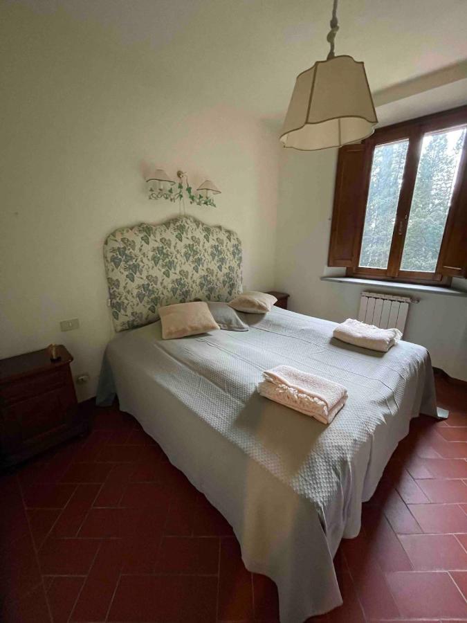 Apartment with pool and park near Florence - 2