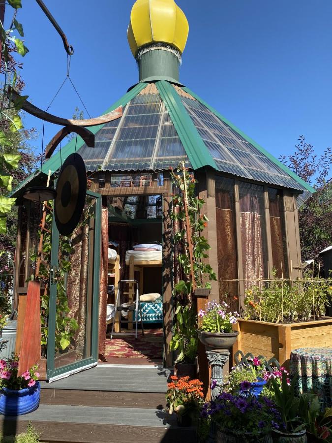Three Dog Night Hostel — photo 17