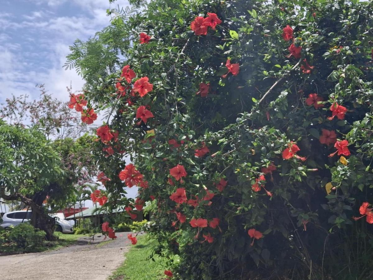 Tavua Hotel Ismail Investments - 3