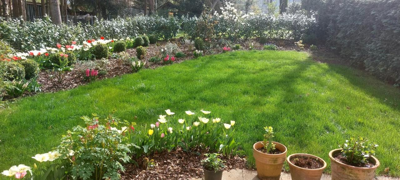 Sunny garden flat in Munich