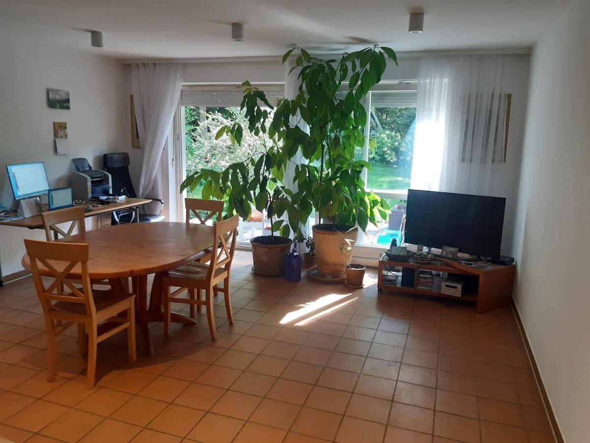 Sunny garden flat in Munich