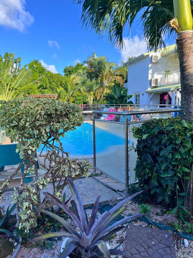 Les Algues de la Chapelle - 4