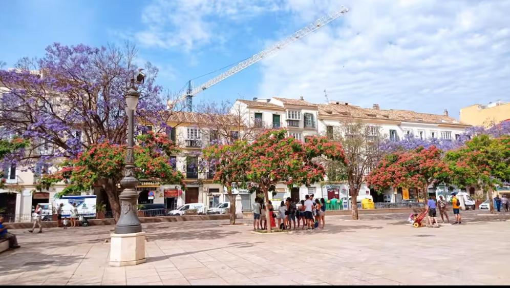 Luxury Loft Cienfuegos II - 5