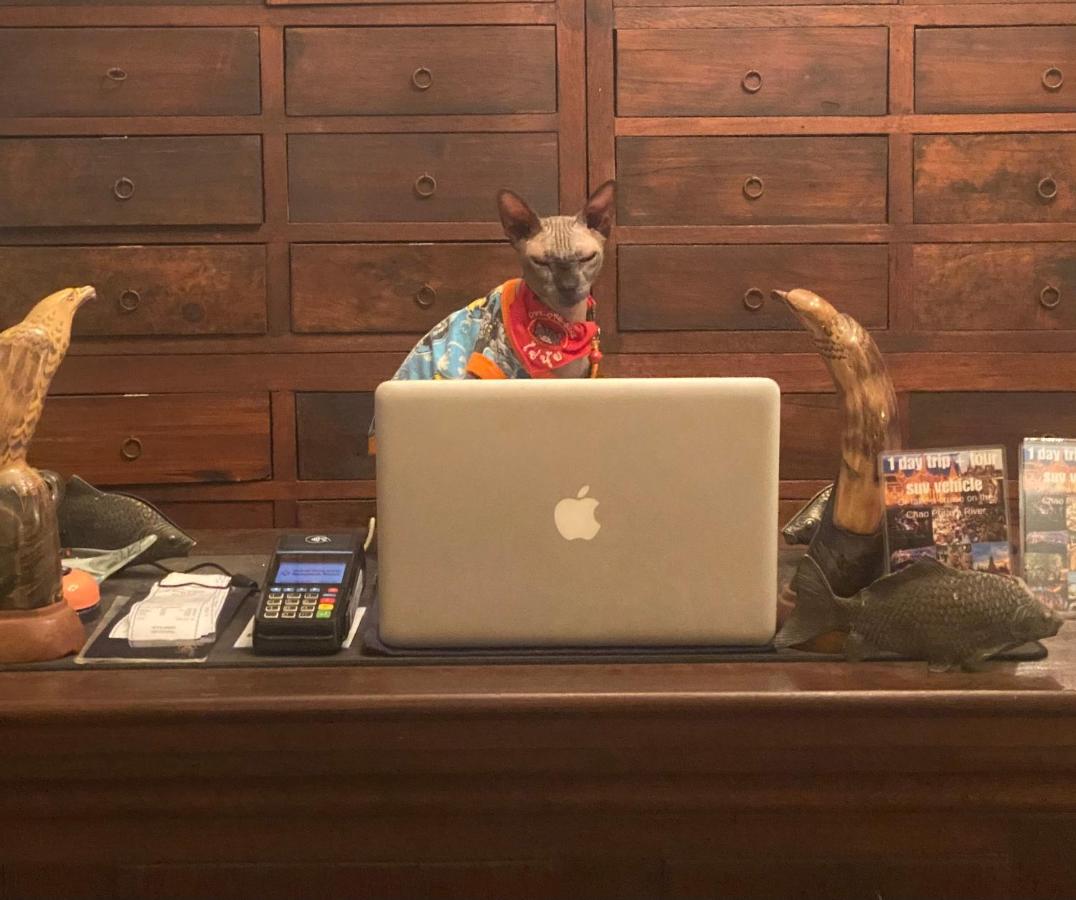 Cafe ice resident - 4