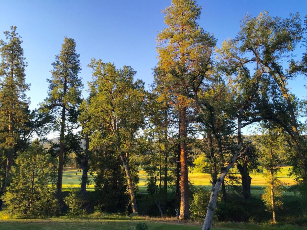 Sierra Meadows — photo 18