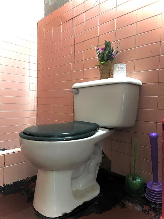 Camping en la ciudad - 3