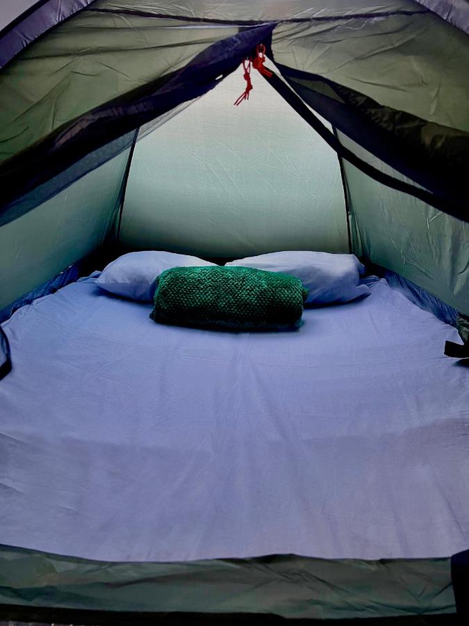 Camping en la ciudad - 2