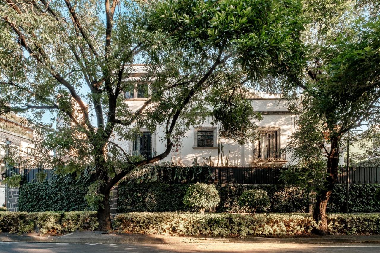 Pug Seal Polanco Anatole France - 5