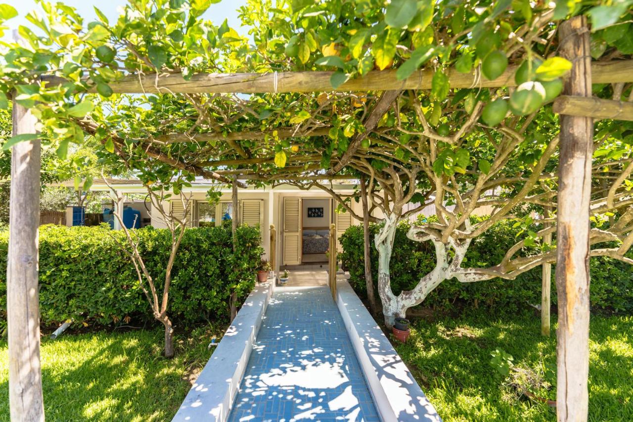 Lemon Tree House - 3