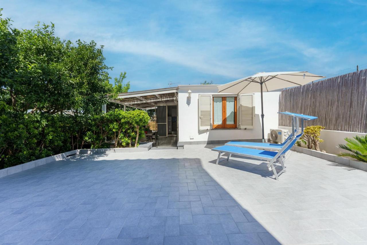 Lemon Tree House - 5