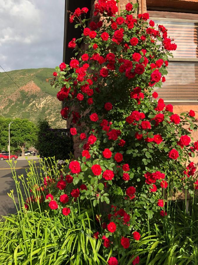Glenwood Springs Cedar Lodge — photo 22