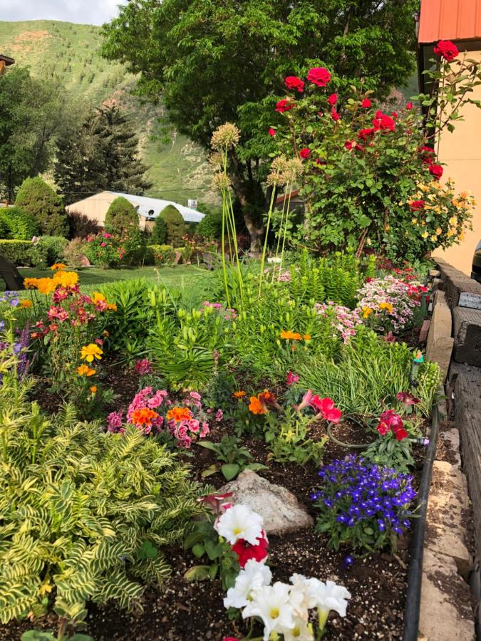 Glenwood Springs Cedar Lodge — photo 23