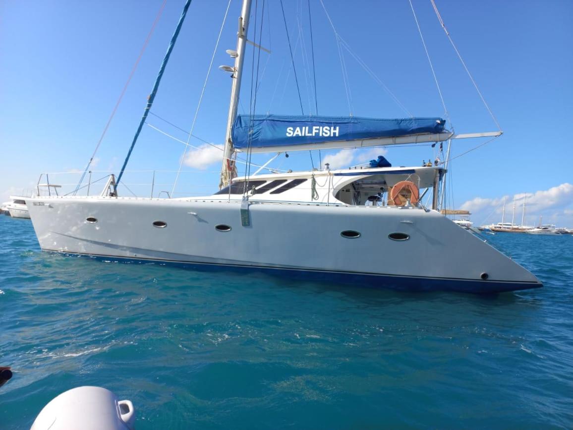 SailFish Catamaran - 5