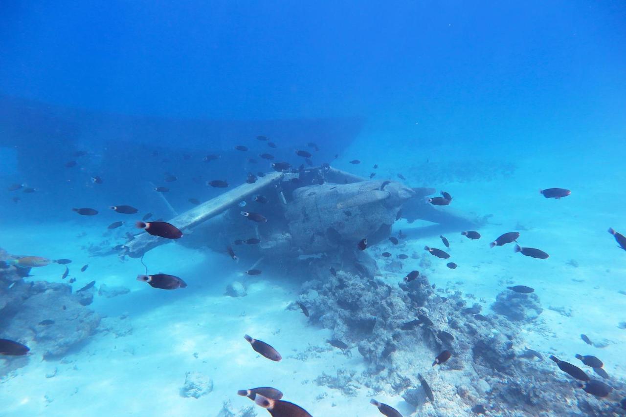 Moana Waterfront Bungalow - 5