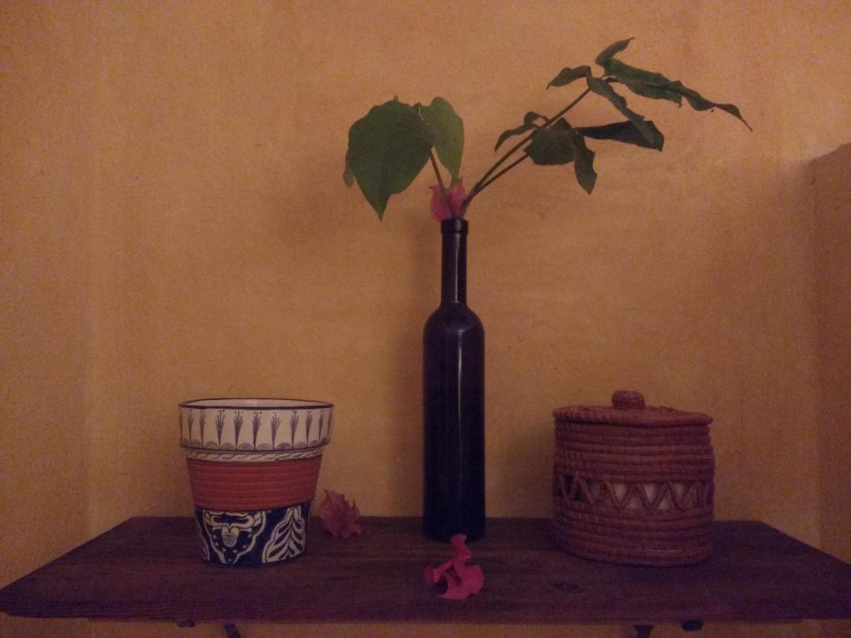 Casitas Kinsol photo