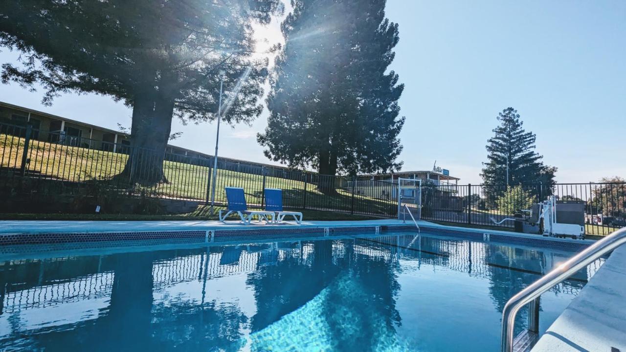 Foothills Motel — photo 4