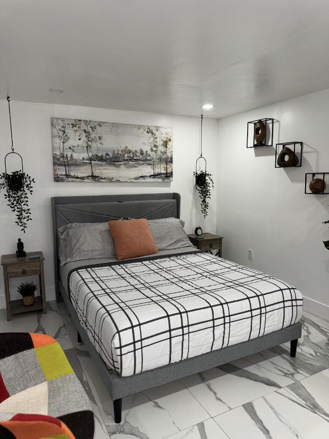 Luna y Sol Calle 8 - 2