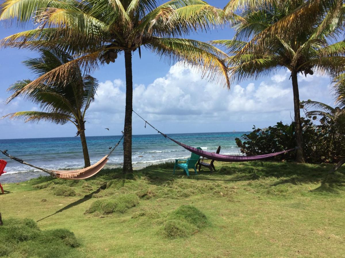 Beach: La Princesa de La Isla