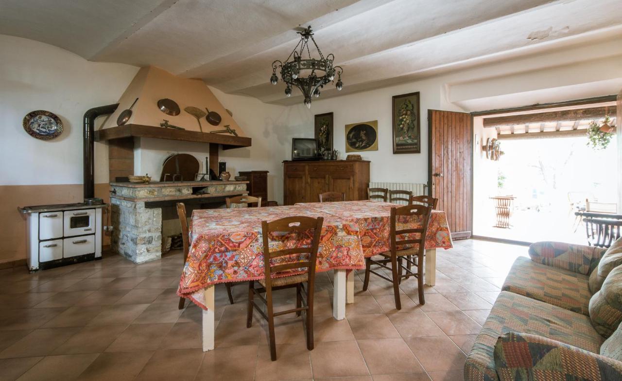 Agriturismo Verde Oliva - 5