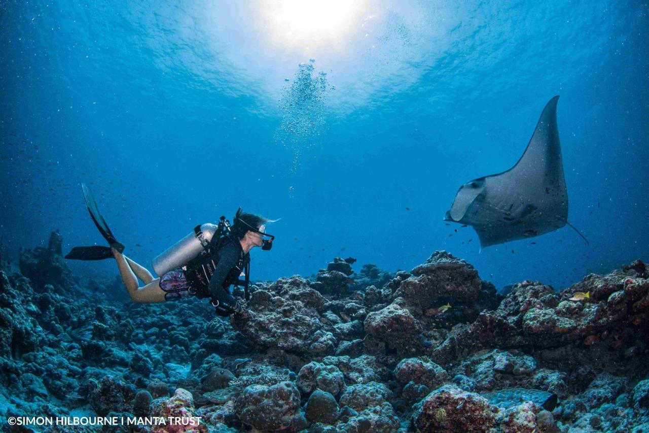 Kilavethi Retreat - 5